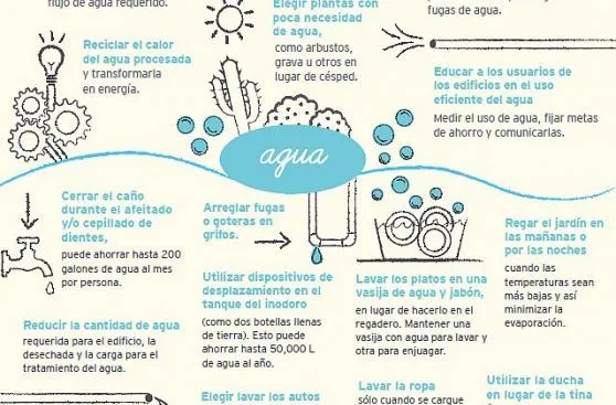COP 20: EY te sugiere acciones para cuidar el medio ambiente ...
