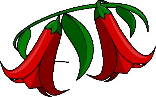 Chile on Pinterest | Fiestas and Antigua