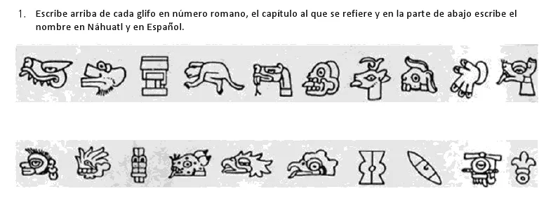 Copo de Algodón: Números romanos y glifos nahuas para Copo de Algodón Copo de Algodón: Números romanos y glifos nahuas para Copo de Algodón