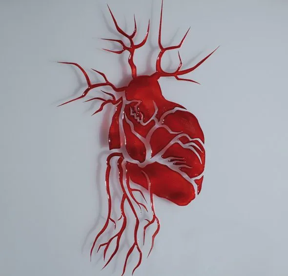 Como hacer un corazon humano con material reciclable - Imagui Como hacer un corazon humano con material reciclable - Imagui