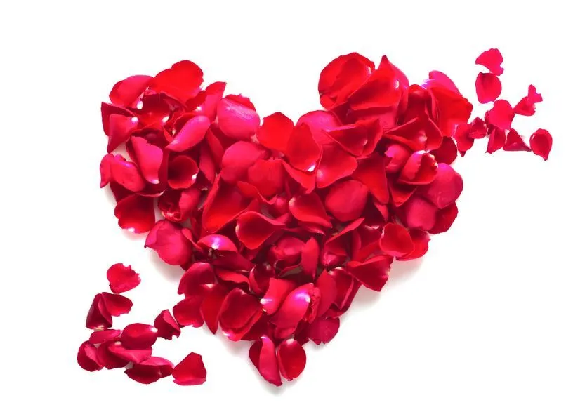 Corazón hecho con pétalos de rosas rojas - Día del Amor y la ... Corazón hecho con pétalos de rosas rojas - Día del Amor y la ...