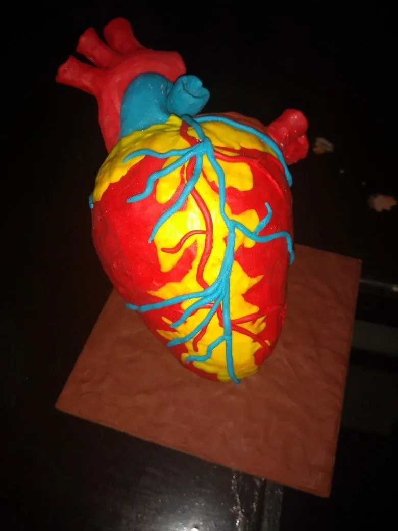 Corazon de plastilina | Corazon maqueta, Maquetas de escuelas, Maquetas con plastilina