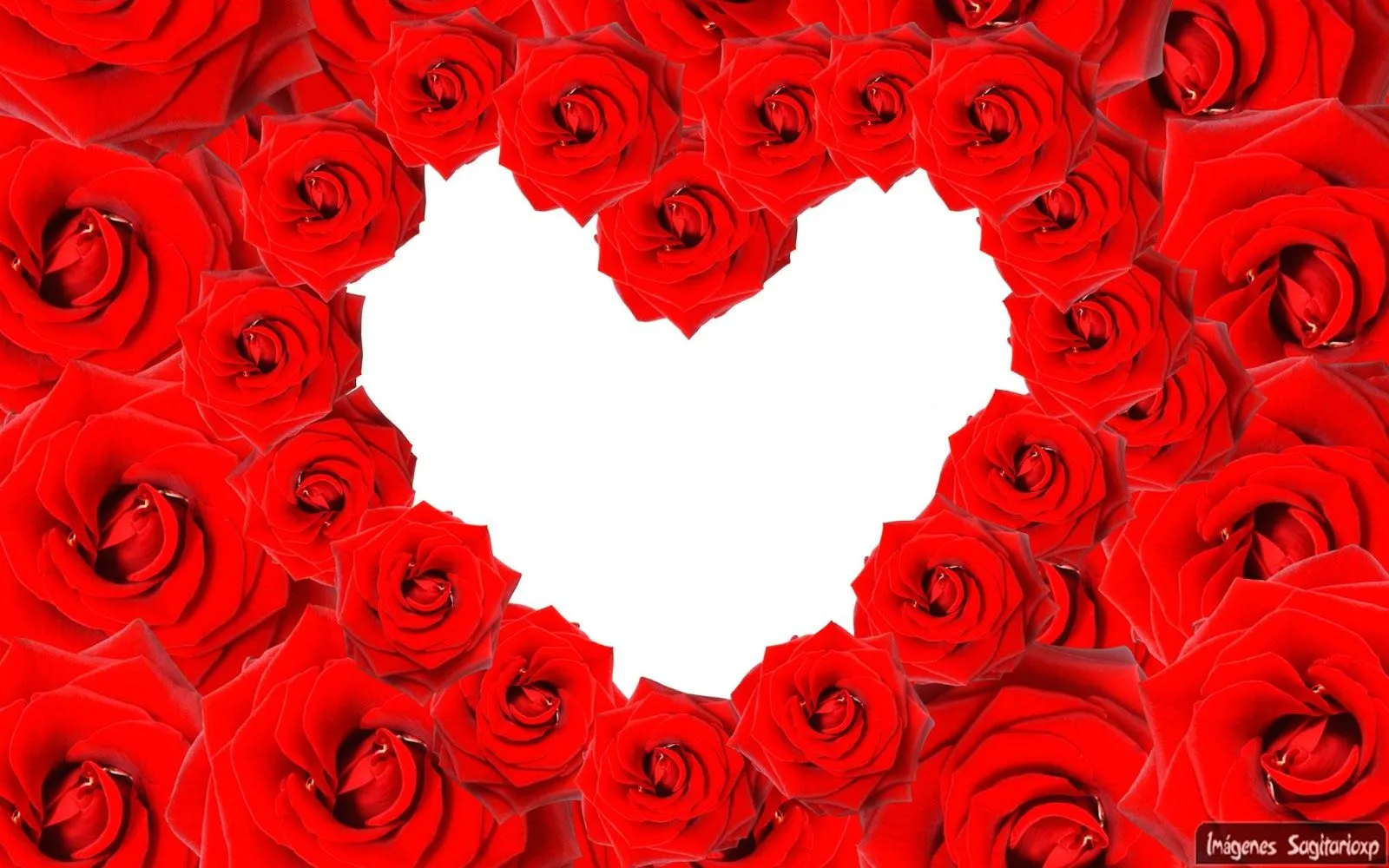 Corazón de rosas rojas | Wallpaper - Imágenes Para Compartir ... Corazón de rosas rojas | Wallpaper - Imágenes Para Compartir ...