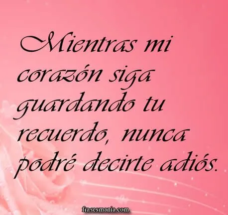 Mientras mi corazón siga guardando tu .... Frases. Mientras mi corazón siga guardando tu .... Frases.