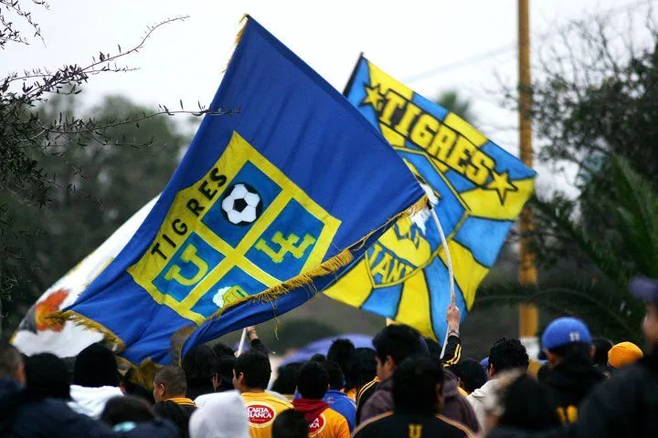 Corazon de Tigre's Blog | Historia , Vida y Sentimiento de Tigres ... Corazon de Tigre's Blog | Historia , Vida y Sentimiento de Tigres ...