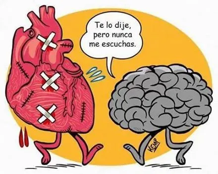 corazon vs cerebro fines de semana yecla ofertas top humor hoy en ... corazon vs cerebro fines de semana yecla ofertas top humor hoy en ...