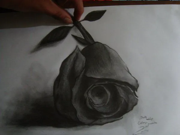 Dibujos de rosas 3D para dibujar - Imagui