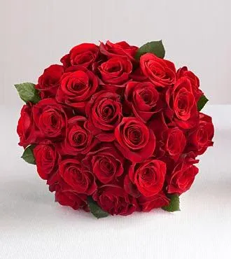 Imágenes bellas en general: VARIEDAD DE ROSAS ROJAS PARA ENAMORAR Imágenes bellas en general: VARIEDAD DE ROSAS ROJAS PARA ENAMORAR