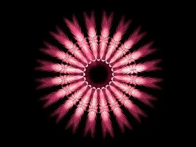 Imagenes de flores con brillo y movimiento - Imagui Imagenes de flores con brillo y movimiento - Imagui