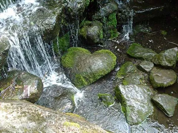 Corazones en la Naturaleza | Fotos e Imágenes en FOTOBLOG X Corazones en la Naturaleza | Fotos e Imágenes en FOTOBLOG X