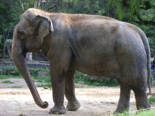 Córdoba Argentina: Zoo de Córdoba