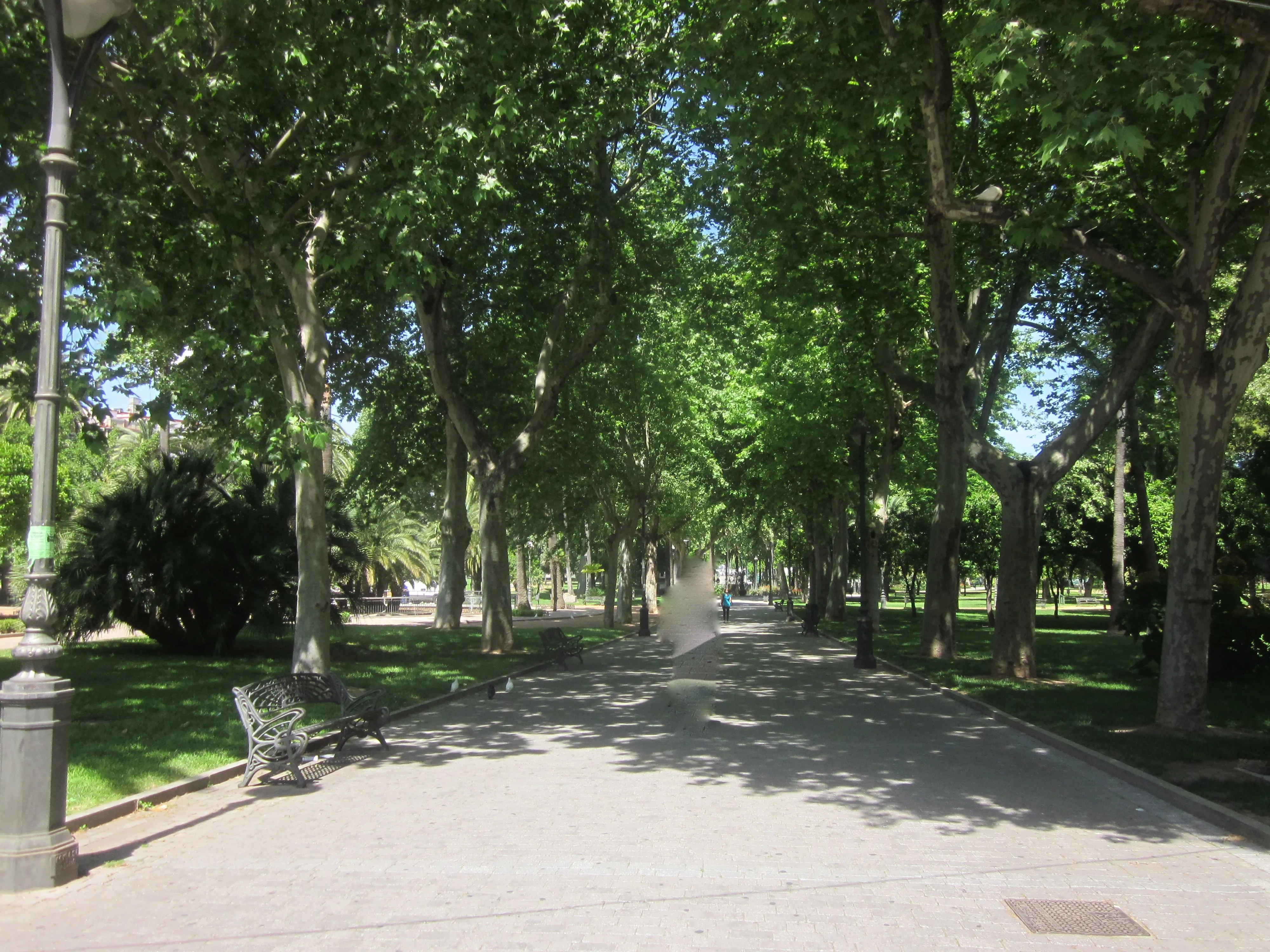 Córdoba. « La Casa de Tomasa
