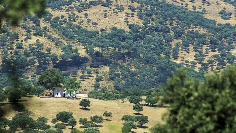 Córdoba en otoño | espana | Ocholeguas | elmundo.es