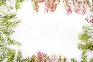 Cornice di Natale decor | Scaricare foto gratis Cornice di Natale decor | Scaricare foto gratis