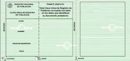 Cómo corregir mi CURP? - Los Impuestos