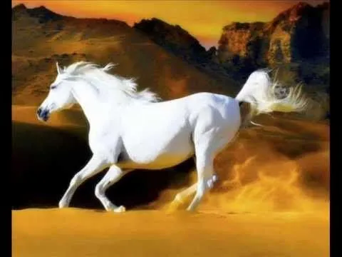 EL CORRIDO DEL CABALLO BLANCO Jose Alfredo Jiménez - YouTube EL CORRIDO DEL CABALLO BLANCO Jose Alfredo Jiménez - YouTube