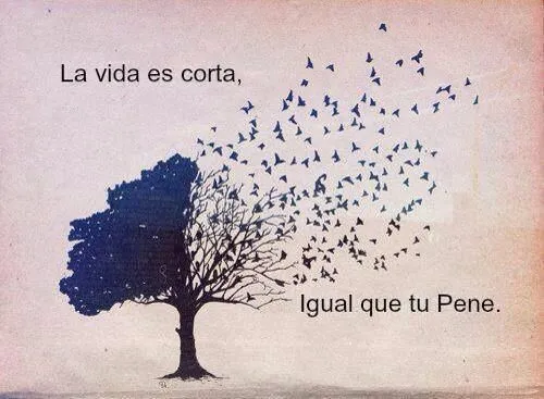 es corta | Tumblr