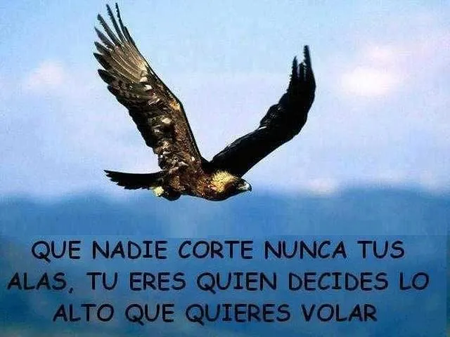 que nadie corte nunca tus alas yecla ofertas frases de ecología ...