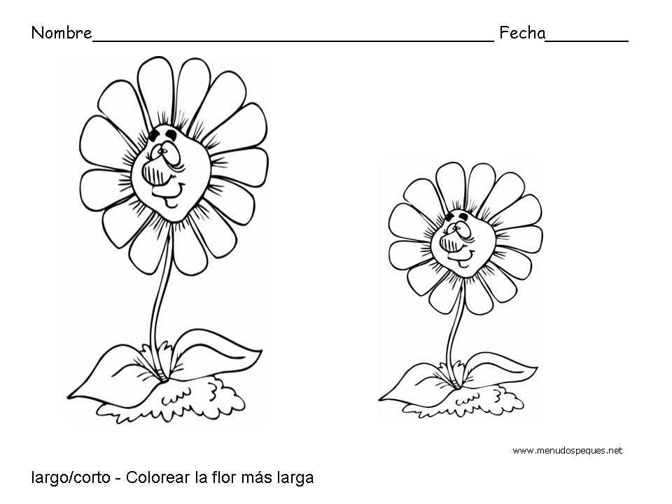 Largo y corto, flores - Fichas de conceptos básicos Largo y corto, flores - Fichas de conceptos básicos