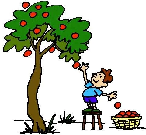 Cosechando-frutos.jpg