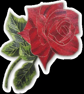 coseché siempre rosas.