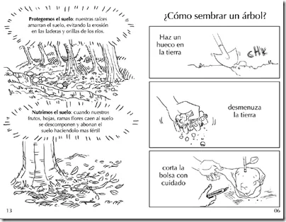 CoSqUiLLiTaS eN La PaNzA BLoGs: DÍA DEL ÁRBOL