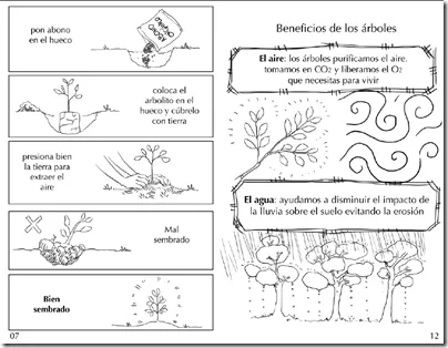 CoSqUiLLiTaS eN La PaNzA BLoGs: DÍA DEL ÁRBOL