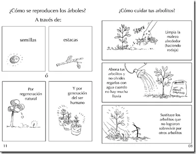 CoSqUiLLiTaS eN La PaNzA BLoGs: DÍA DEL ÁRBOL