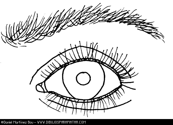 CoSqUiLLiTaS eN La PaNzA BLoGs: LAS PARTES DE LA CARA -MI CARITA