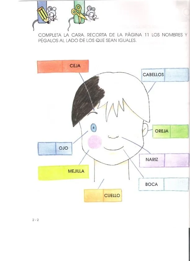 CoSqUiLLiTaS eN La PaNzA BLoGs: LAS PARTES DE LA CARA -MI CARITA CoSqUiLLiTaS eN La PaNzA BLoGs: LAS PARTES DE LA CARA -MI CARITA