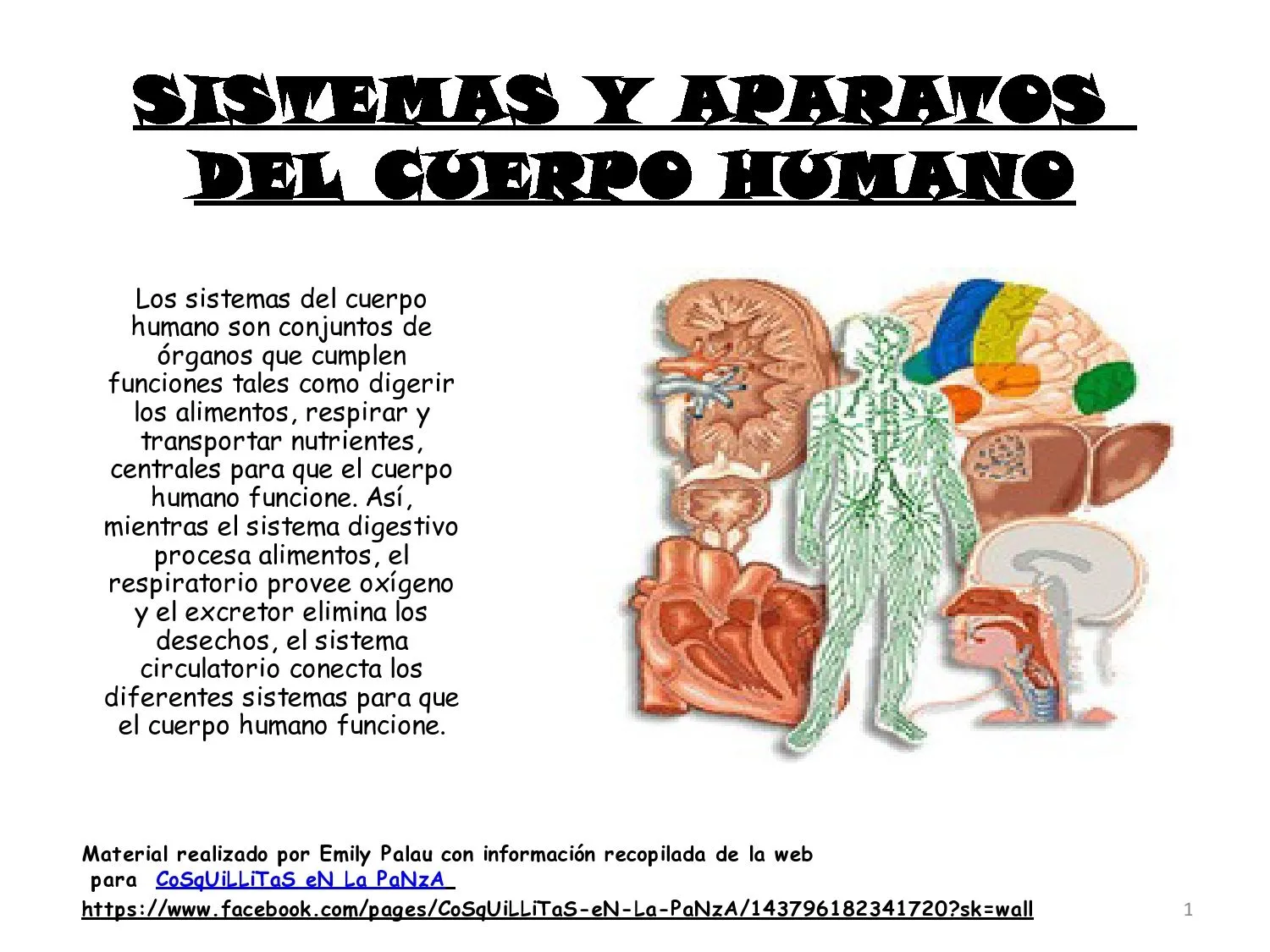 CoSqUiLLiTaS eN La PaNzA BLoGs: SISTEMAS Y APARATOS DEL CUERPO ... CoSqUiLLiTaS eN La PaNzA BLoGs: SISTEMAS Y APARATOS DEL CUERPO ...