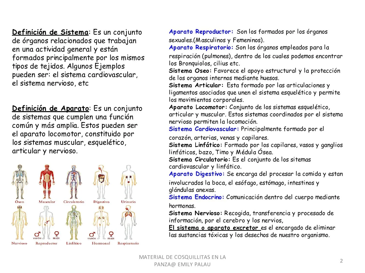 CoSqUiLLiTaS eN La PaNzA BLoGs: SISTEMAS Y APARATOS DEL CUERPO ... CoSqUiLLiTaS eN La PaNzA BLoGs: SISTEMAS Y APARATOS DEL CUERPO ...