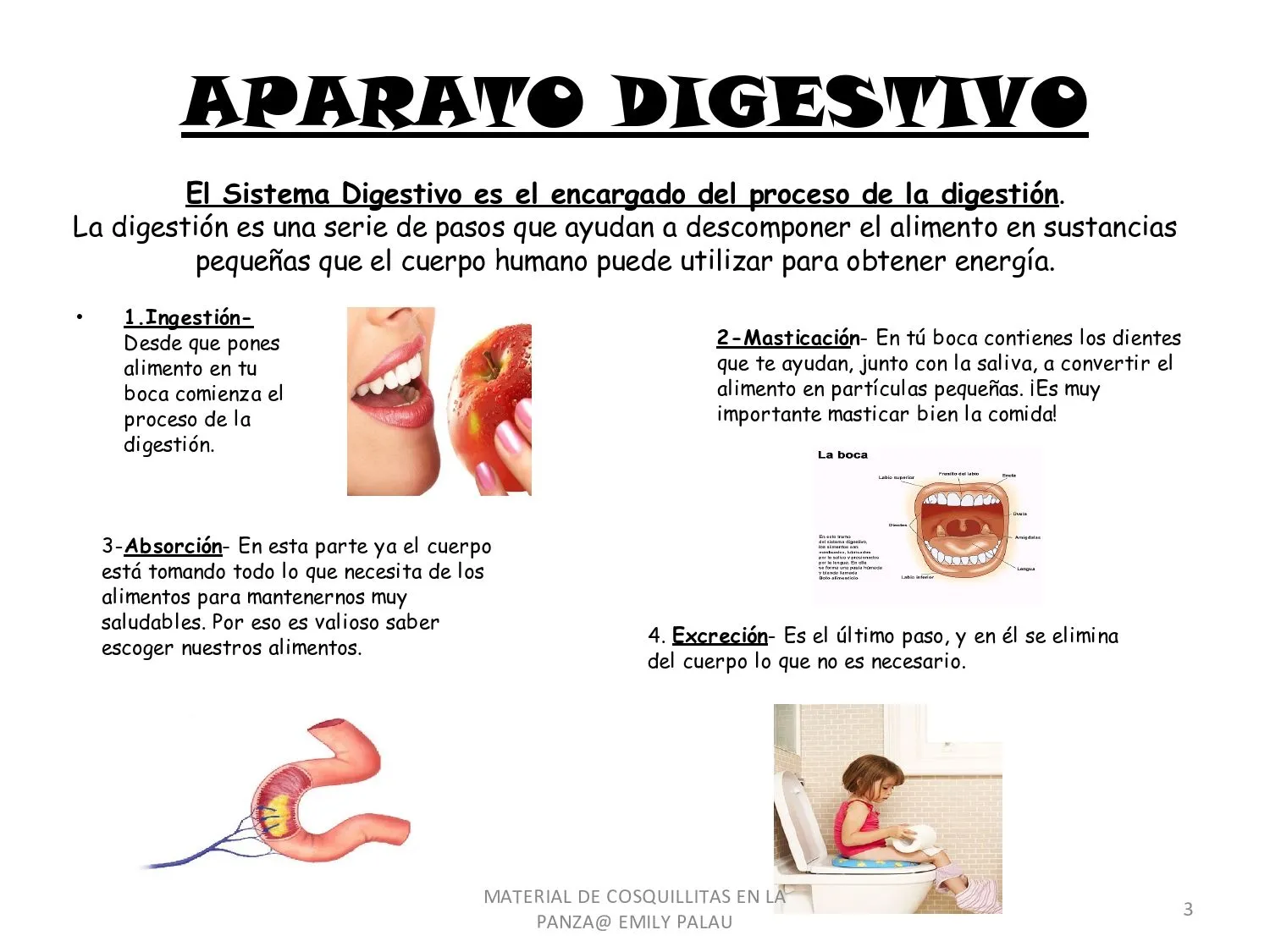 CoSqUiLLiTaS eN La PaNzA BLoGs: SISTEMAS Y APARATOS DEL CUERPO ... CoSqUiLLiTaS eN La PaNzA BLoGs: SISTEMAS Y APARATOS DEL CUERPO ...