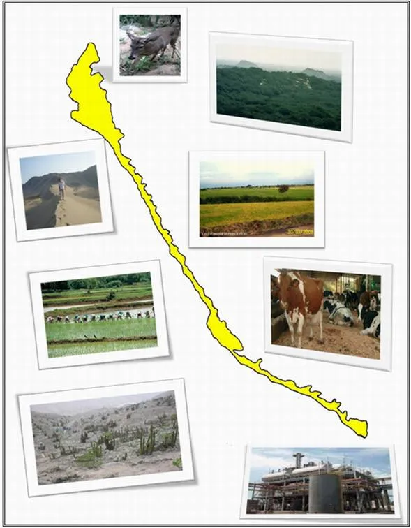 La costa peruana - Clase magistral - Monografias.com La costa peruana - Clase magistral - Monografias.com