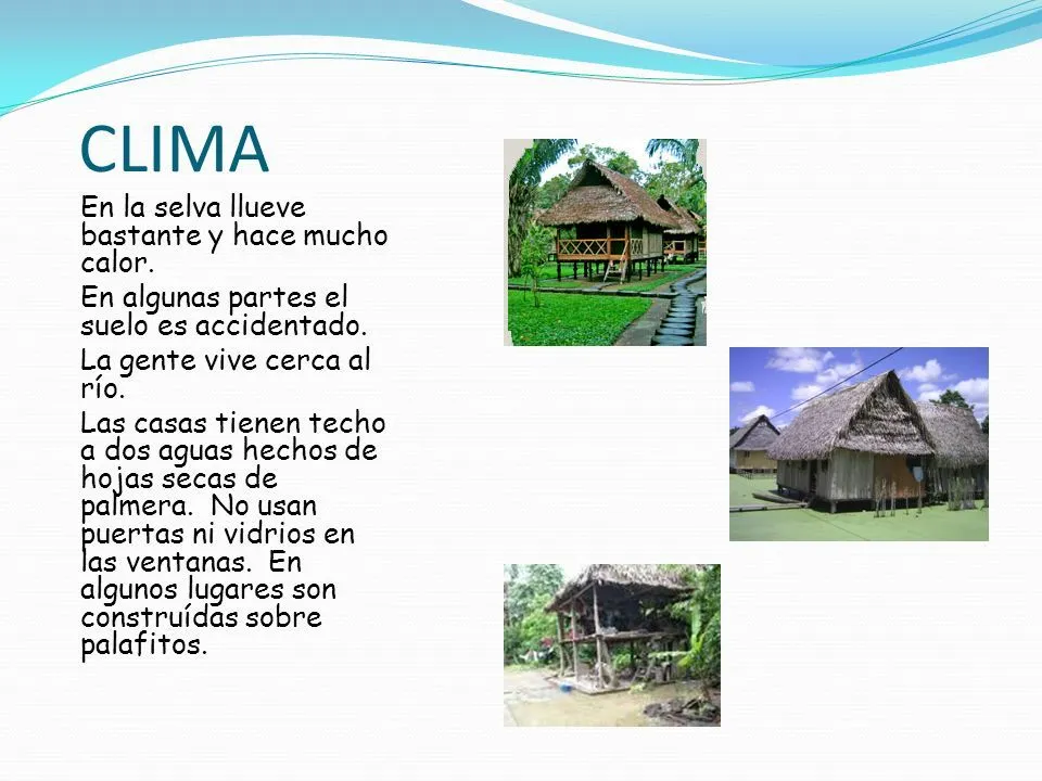 Costa, Sierra y Selva del Perú - ppt video online descargar Costa, Sierra y Selva del Perú - ppt video online descargar