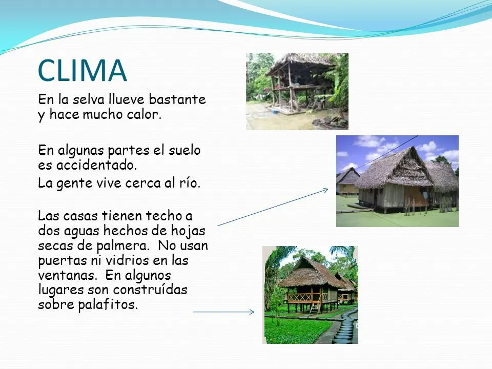 Costa, Sierra y Selva del Perú - ppt video online descargar Costa, Sierra y Selva del Perú - ppt video online descargar