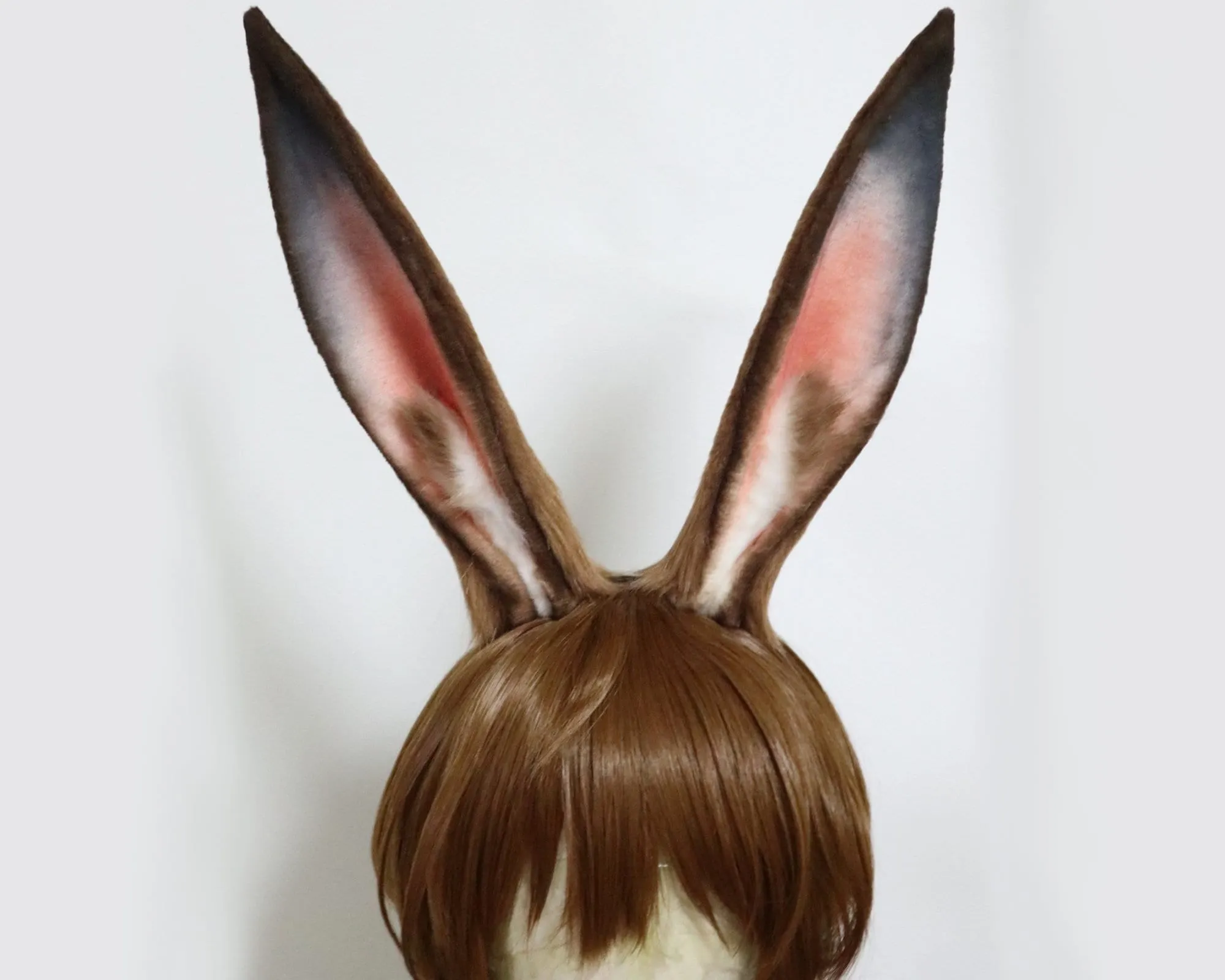 Orejas de burro - Etsy México