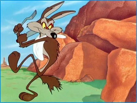 coyote-2.jpg