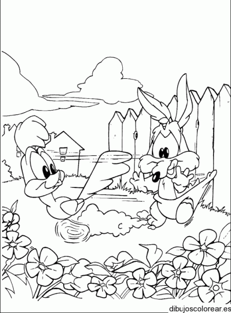 Coyote y Correcaminos bebés | DISNEY | Pinterest | Coyotes and Dibujo Coyote y Correcaminos bebés | DISNEY | Pinterest | Coyotes and Dibujo