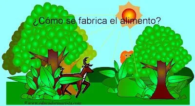... CP Clarín (Gijón): La nutrición y la respiración de las plantas ... CP Clarín (Gijón): La nutrición y la respiración de las plantas
