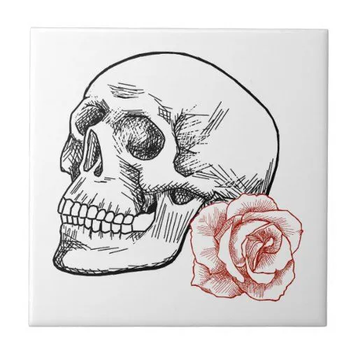 Cráneo humano con el dibujo lineal del rosa rojo teja cerámica de ... Cráneo humano con el dibujo lineal del rosa rojo teja cerámica de ...