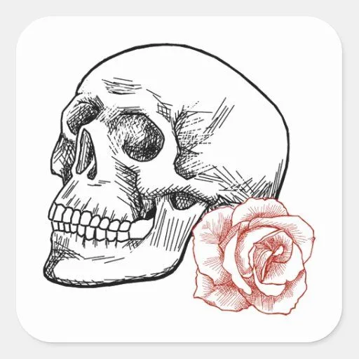 Cráneo humano con el dibujo lineal del rosa rojo pegatina cuadrada ...
