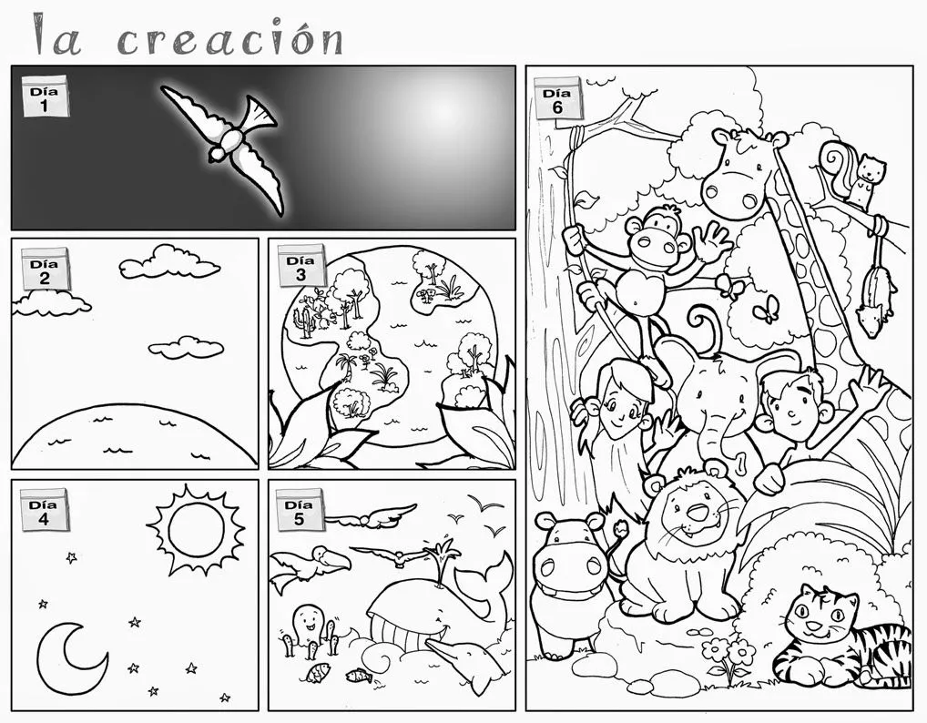 La Creación de Dios para Colorear ~ Dibujos para Niños
