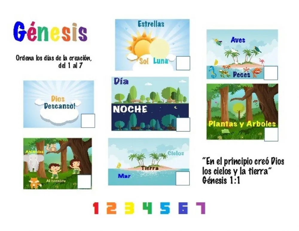 Dias de la creacion interactive worksheet | Live Worksheets
