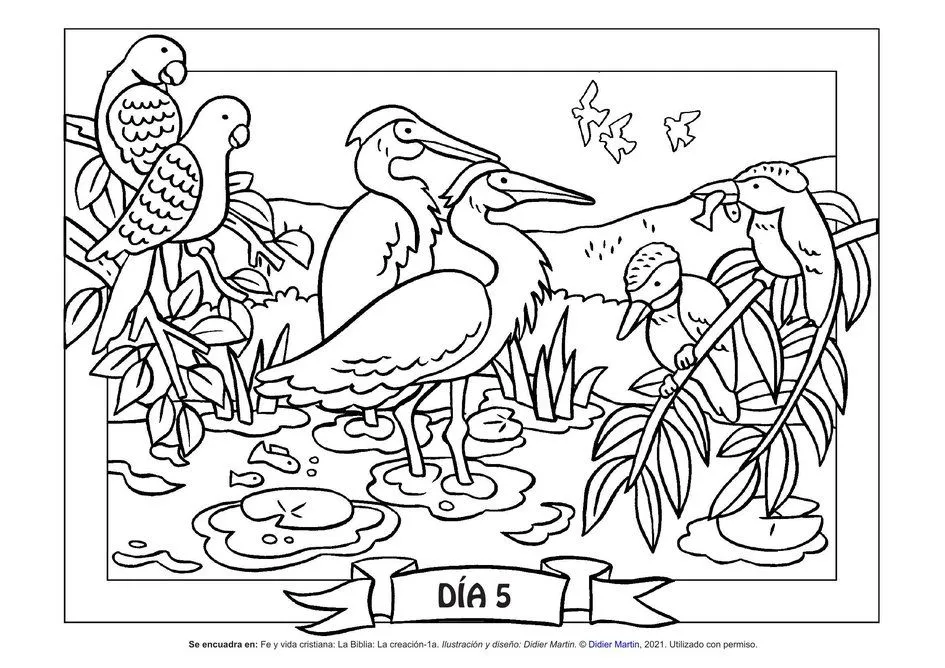 La creación del mundo: Aves en el cielo—Página para colorear | Rincón de las maravillas La creación del mundo: Aves en el cielo—Página para colorear | Rincón de las maravillas