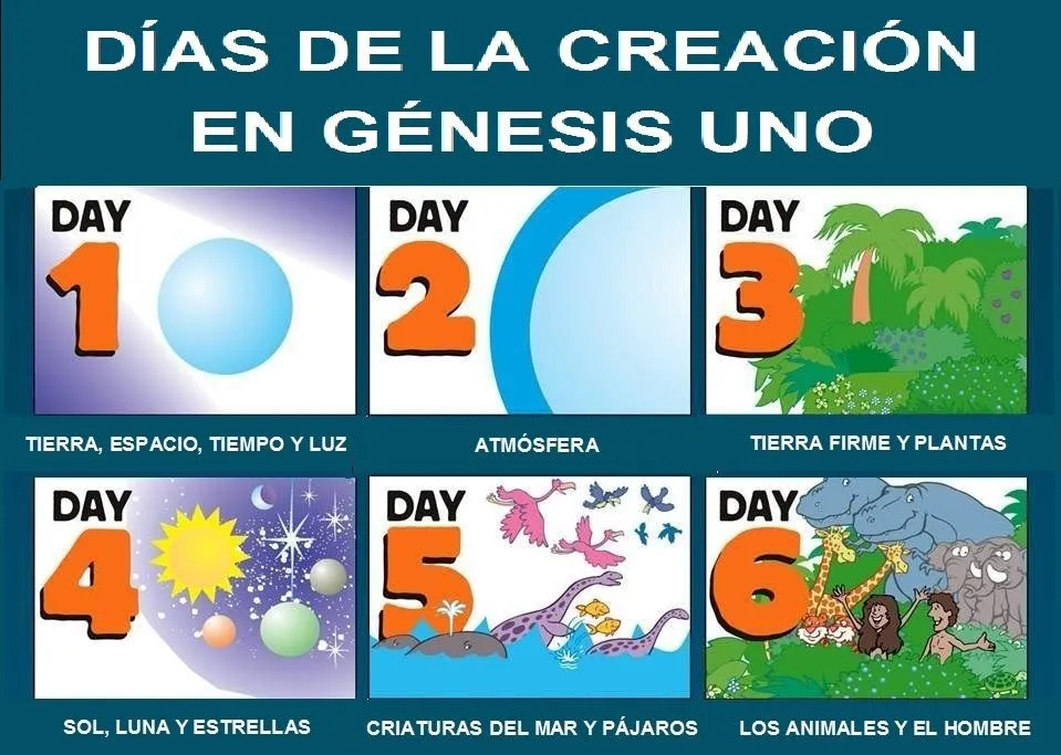 LA CREACIÓN – Día 5 y 6 | Caminando con Yeshua (Jesús) – Historias bíblicas  para los Niños