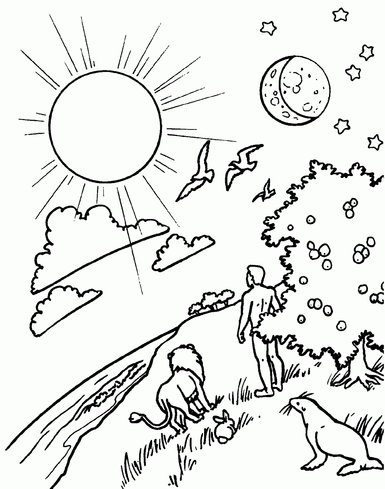 Dibujos de la creación de Dios para niños para colorear - Imagui Dibujos de la creación de Dios para niños para colorear - Imagui