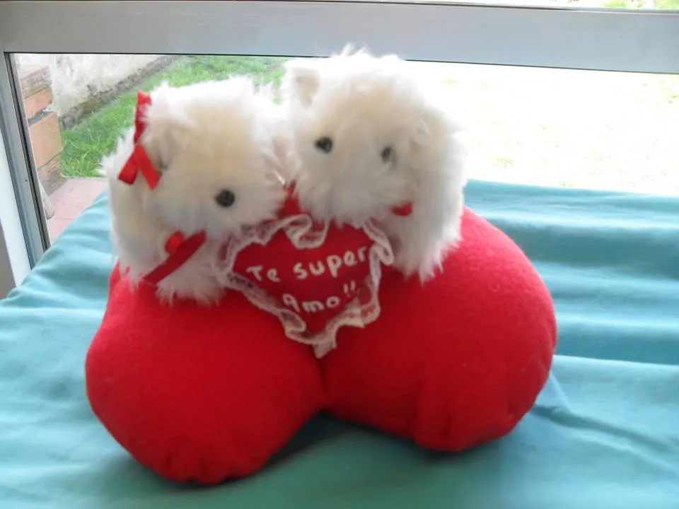 CREACIÓN DE MUÑECOS DE PELUCHE: PARA ENAMORADOS CREACIÓN DE MUÑECOS DE PELUCHE: PARA ENAMORADOS