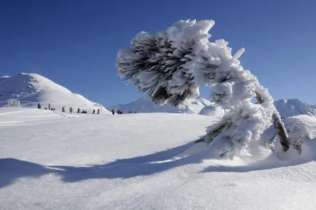 Paisajes nevados de Suiza diversos paisajes de suiza nieve en suiza ...