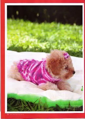 Creaciones con esto y aquello.: Ropa para perros en crochet